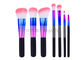 Distinctive Color Ferrule Eyeshadow Brush Kit Exclusive Utensil For Starters