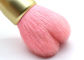 かわいいピンクの中心の形の粉は/ブラシ性質のヤギの毛を搭載する構造の赤面します